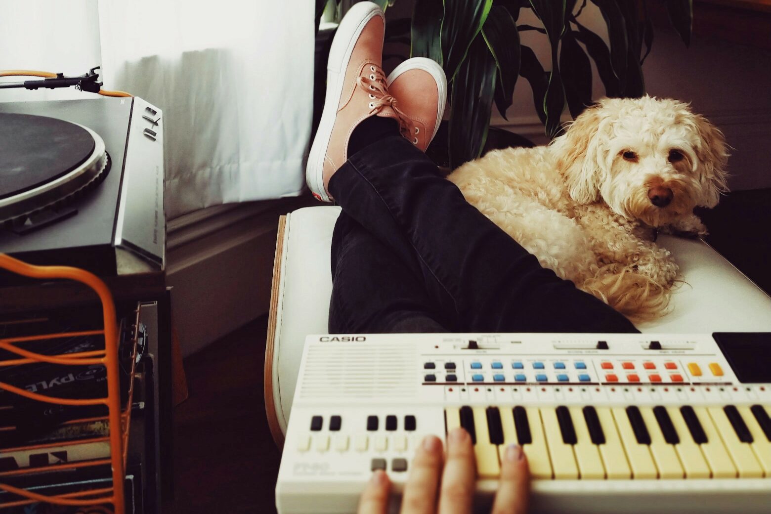 How Music Can Help Your Dog Relax